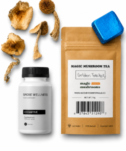 First Timer Magic Mushroom Kit: Psych 101 – An Introduction to Psychedelics