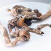 Buy Amazonian Magic Mushrooms