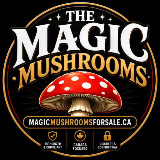 MAGIC MUSHROOMS FOR SALE