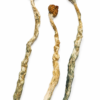 Buy Arenal Volcano Magic Mushrooms CANADA